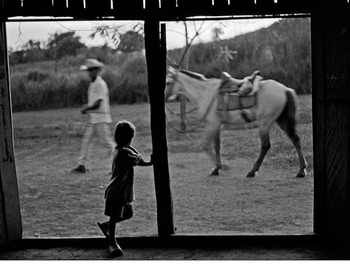 Gallery Of Photography By João Roberto Ripper - Brazil