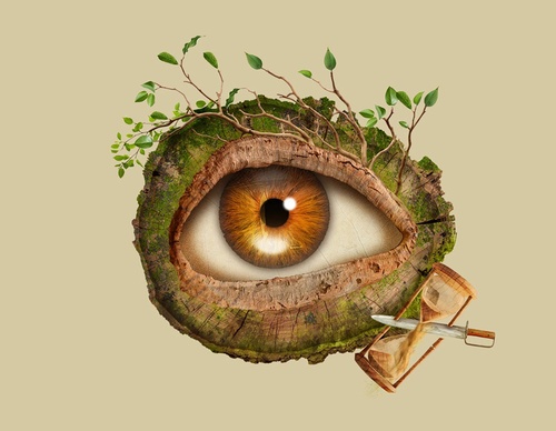 guillermo flores pacheco