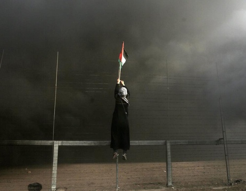 Galería de fotografías de Mohammed Zaanoun - Palestina
