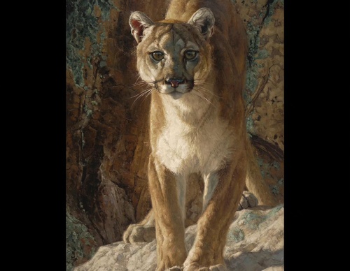 Gallery Of Painting By Greg Beecham - USA