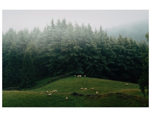 Gallery Of Photography By Daniel Casson - England