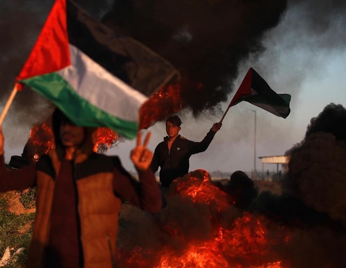Galería de fotografías de Mohammed Zaanoun - Palestina