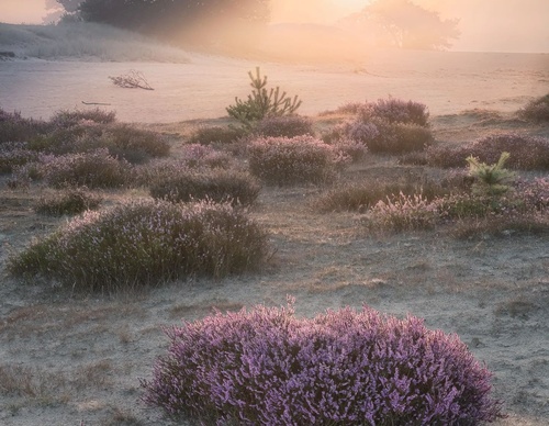Galería de fotografía de Gijs de Reijke - Holanda