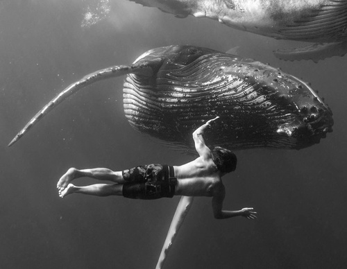 Galeria de Fotografia de Cristina Goettsch Mittermeier - México