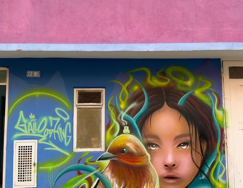 Gallery Of Street Art By Javier Rodriguez - Ecuador