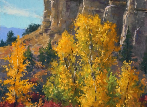 Aaron Schuerr