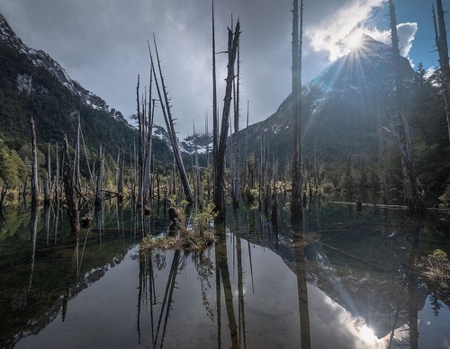 Gallery Of Photography By Jaime Garcés - Chile
