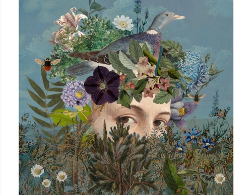 Galeria de ilustrações de Sarah Jarrett - Jamaica