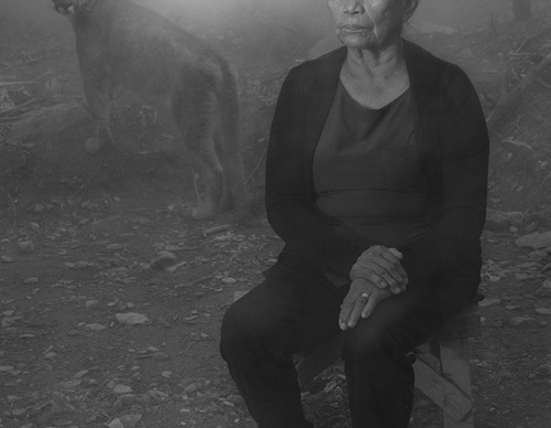 nick brandt