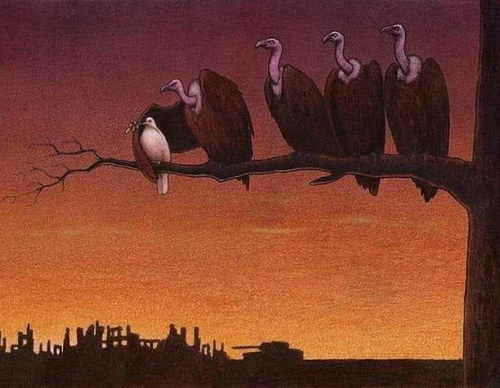 pawel kuczynski