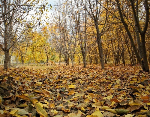 Gallery Of Photography By Mojtaba Nazari - Iran