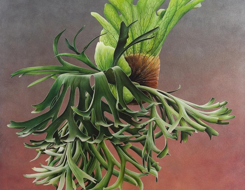 Gallery Of Visual Art By Carlo Batistella - Brazil
