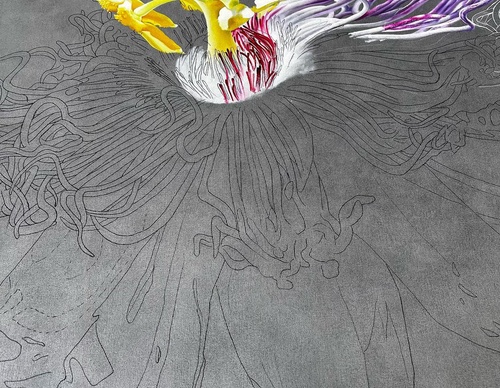 Gallery Of Visual Art By Carlo Batistella - Brazil