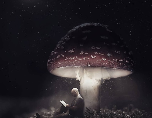 Galería De Ilustración De Gastón - Argentina