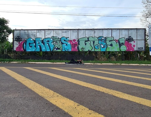 Gallery Of Street Art By GardPam - Brazil