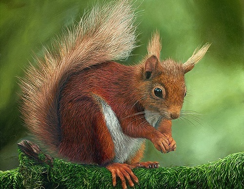 Gallery Of Realistic Painting By Annie Drew - United Kingdom