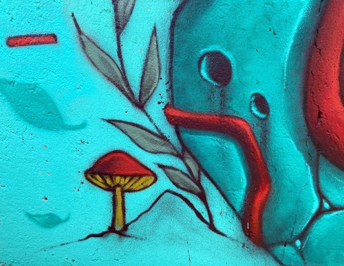 Gallery Of Street Art By Elchicho - Mexico