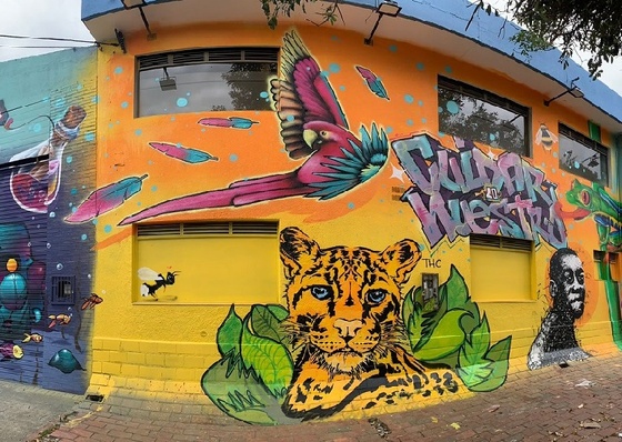 Impacto Social y Cultural del arte callejero