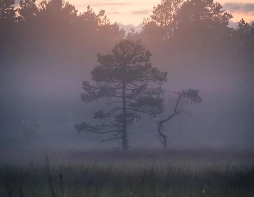 Gallery Of Photography By Elias Kalliola - USA