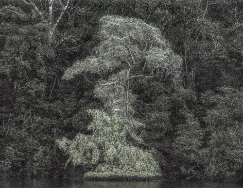 Gallery Of Photography By Cassio Vasconcellos - Brazil