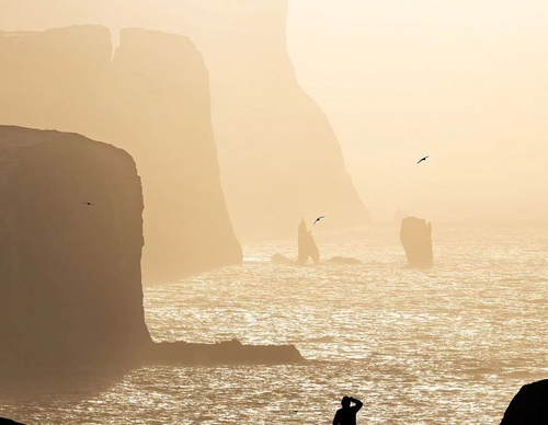 Gallery Of Photography By Mads Peter - Danish