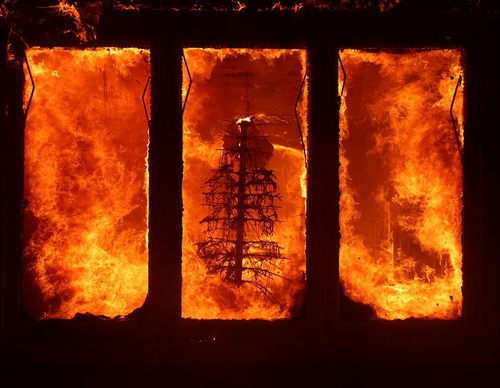 world press photo