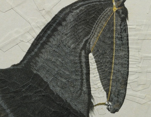 Galería de ilustración de Lola Dupre - británico