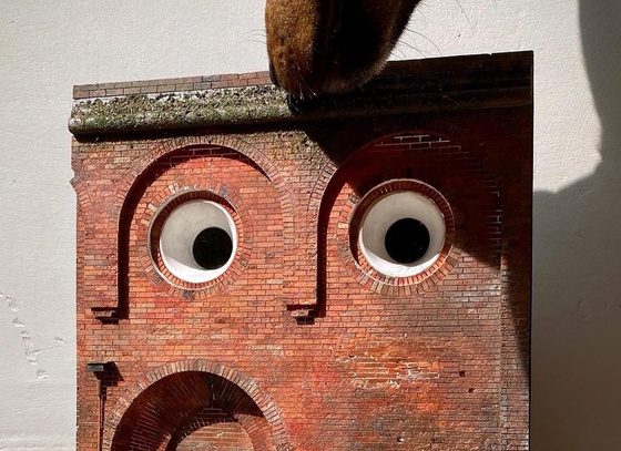 raphael truffi bortholuzzi brazil