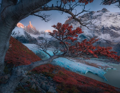 Galería de fotografía de Ty Lekki - Argentina