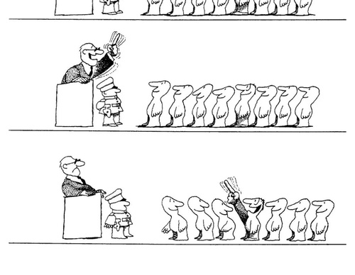 quino