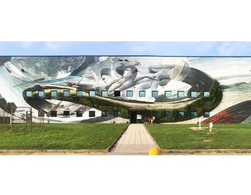 Gallery Of Street Art By Vesod - Italy
