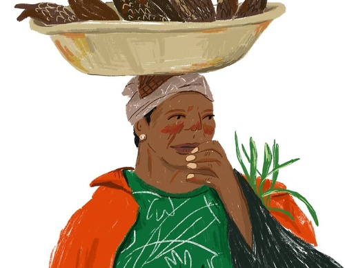 Galeria de ilustrações de shirin Fath allahi-Iran
