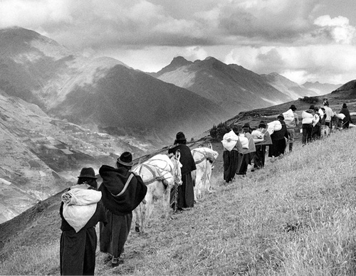 Galeria de Fotografia de Sebastião Salgado-Brasil