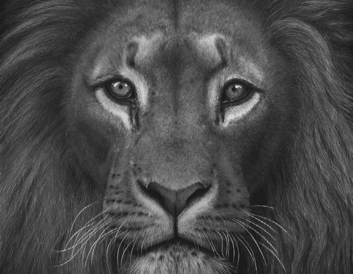Gallery Of Realistic Painting By Emma Towers Evans - Brazil