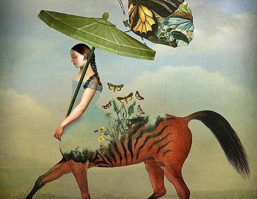 Galería de ilustraciones de Catrin Welz Stein - Alemania