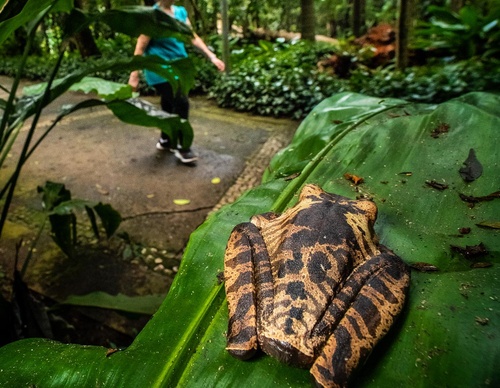 Gallery Of Photography By Fernando Faciole - Brazil
