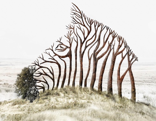 Galería De Ilustración De Luisa Azevedo - Portugal