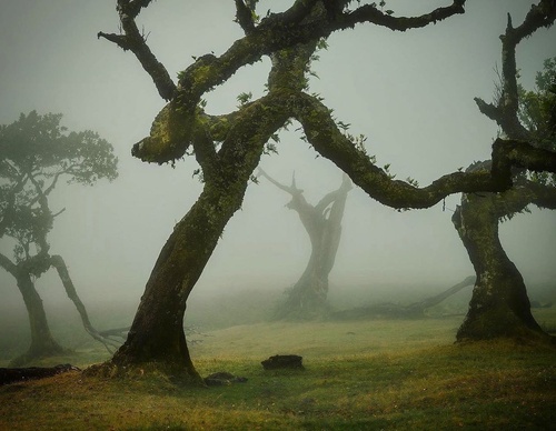 Galería de fotografía de Jorge Reinaldo - Portugal