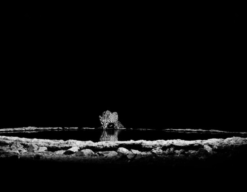Galería de fotografía de Sebastião Salgado - Brasil
