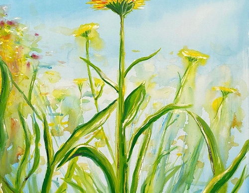 Galería de ilustraciones de Amjed Alsiyabi - Omán