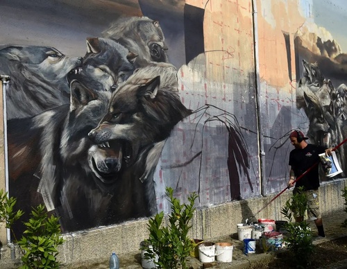Gallery Of Street Art By Vesod - Italy