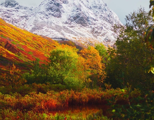 Gallery Of Photography By Patrick Thun - Alaska