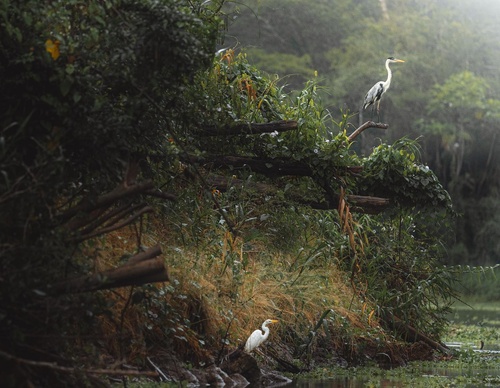 Gallery Of Photography By Paige Tingey - Peru
