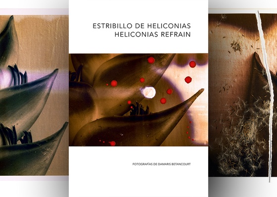 Heliconias Refrain | Damaris Betancourt Photos | Cuba