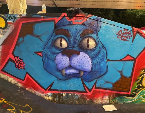 Gallery Of Street Art By Elchicho - Mexico