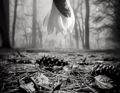 william smith
