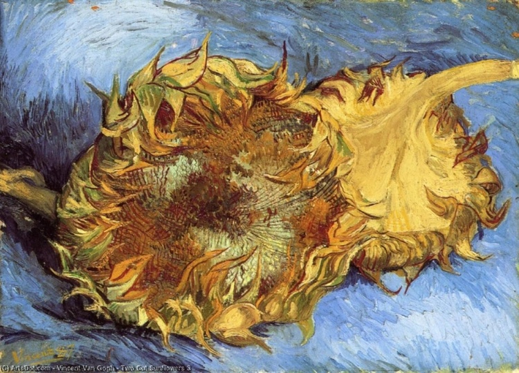 Modern Art: Rupture, Experimentation, and New Visions of the World