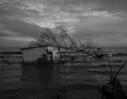 world press photo