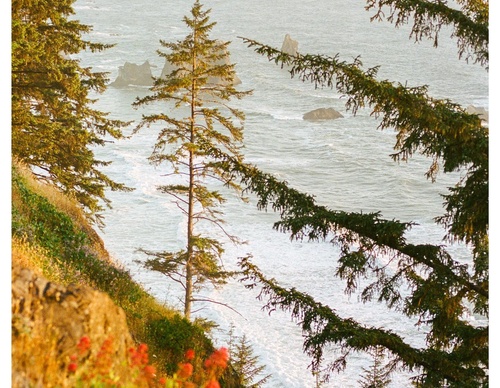 Galeria de fotografias de Nathaniel Wise - EUA