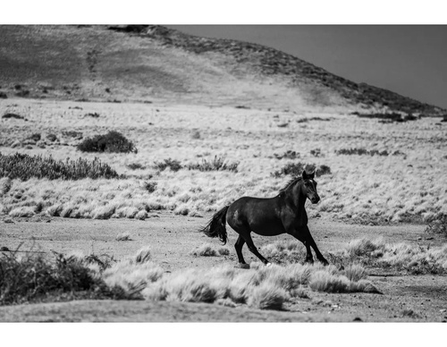 Gallery of Photography by Héctor Millar-Chile